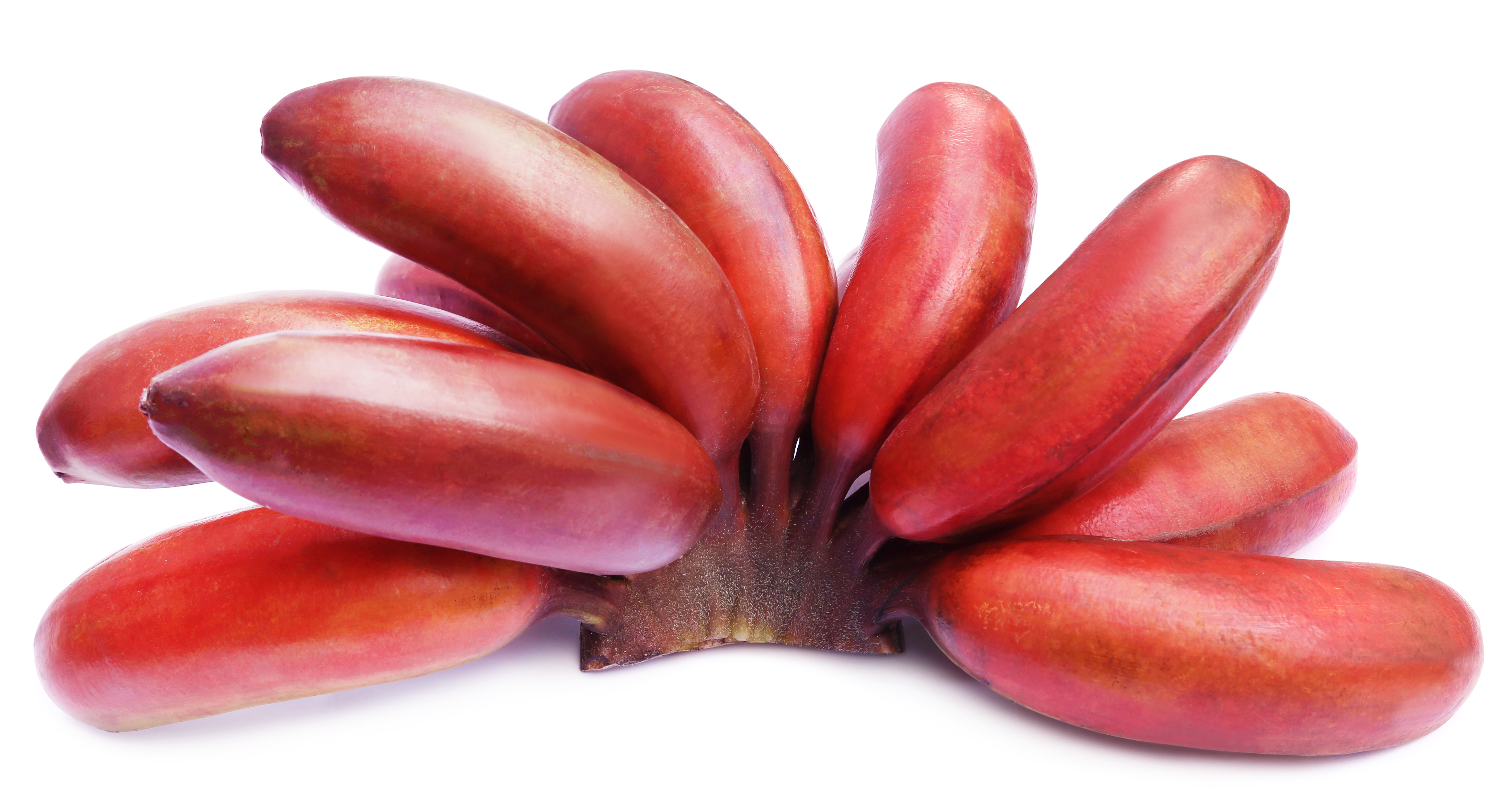 Are Red Bananas for Real