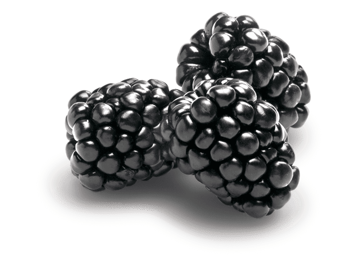 Blackberries