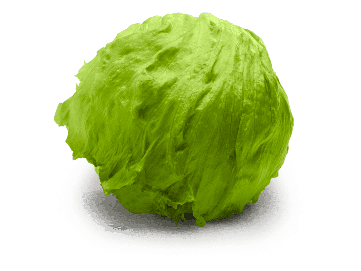 iceberg-lettuce